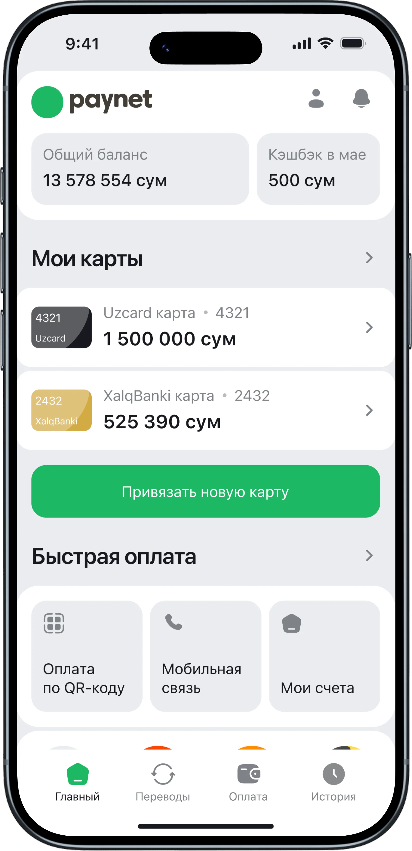 Paynet screen