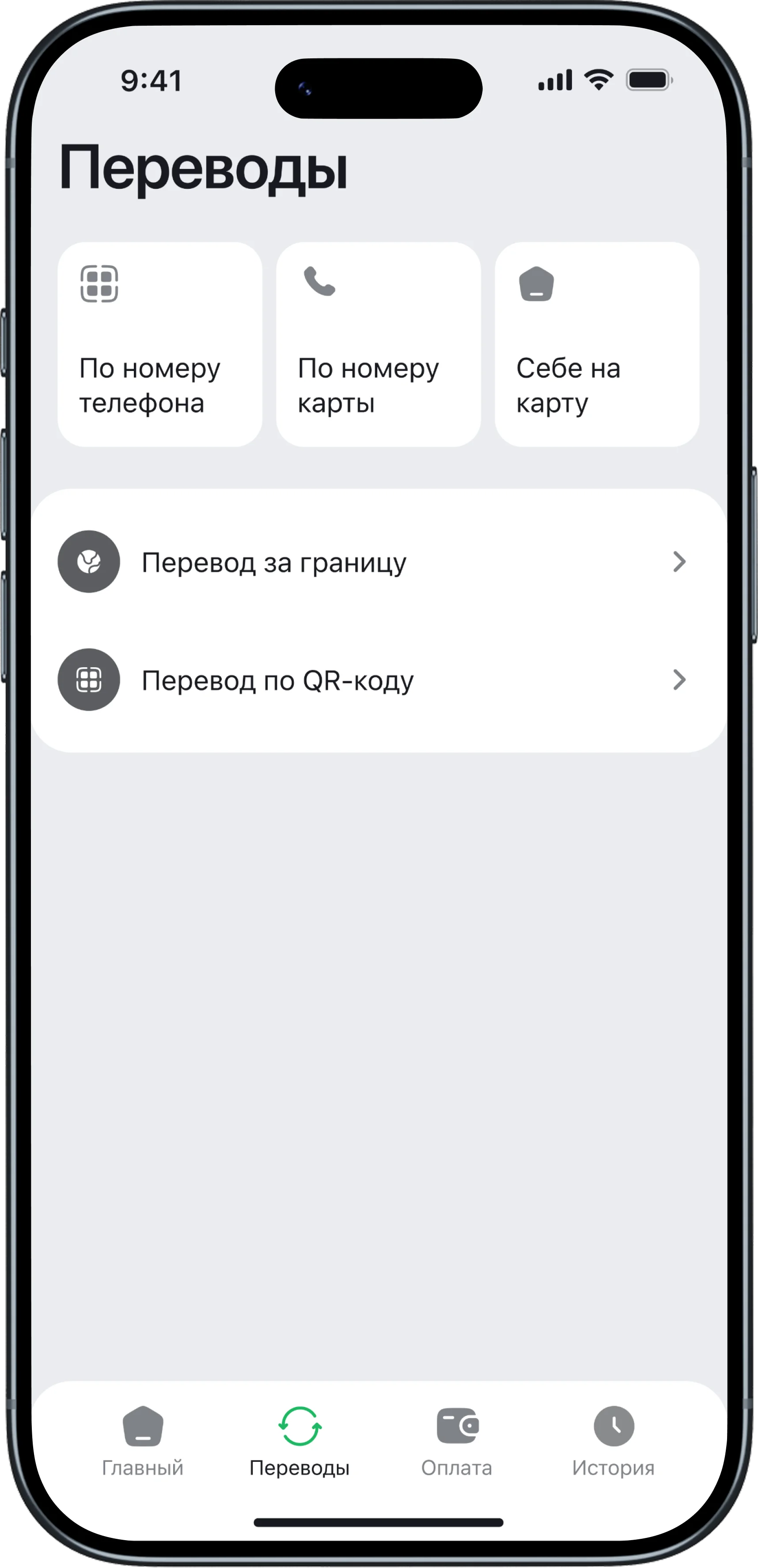 Paynet screen